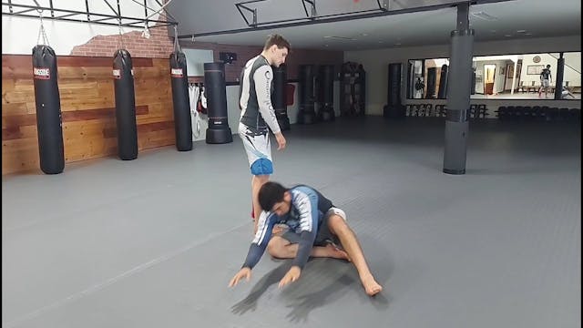 Back system of attacks auxiliarius