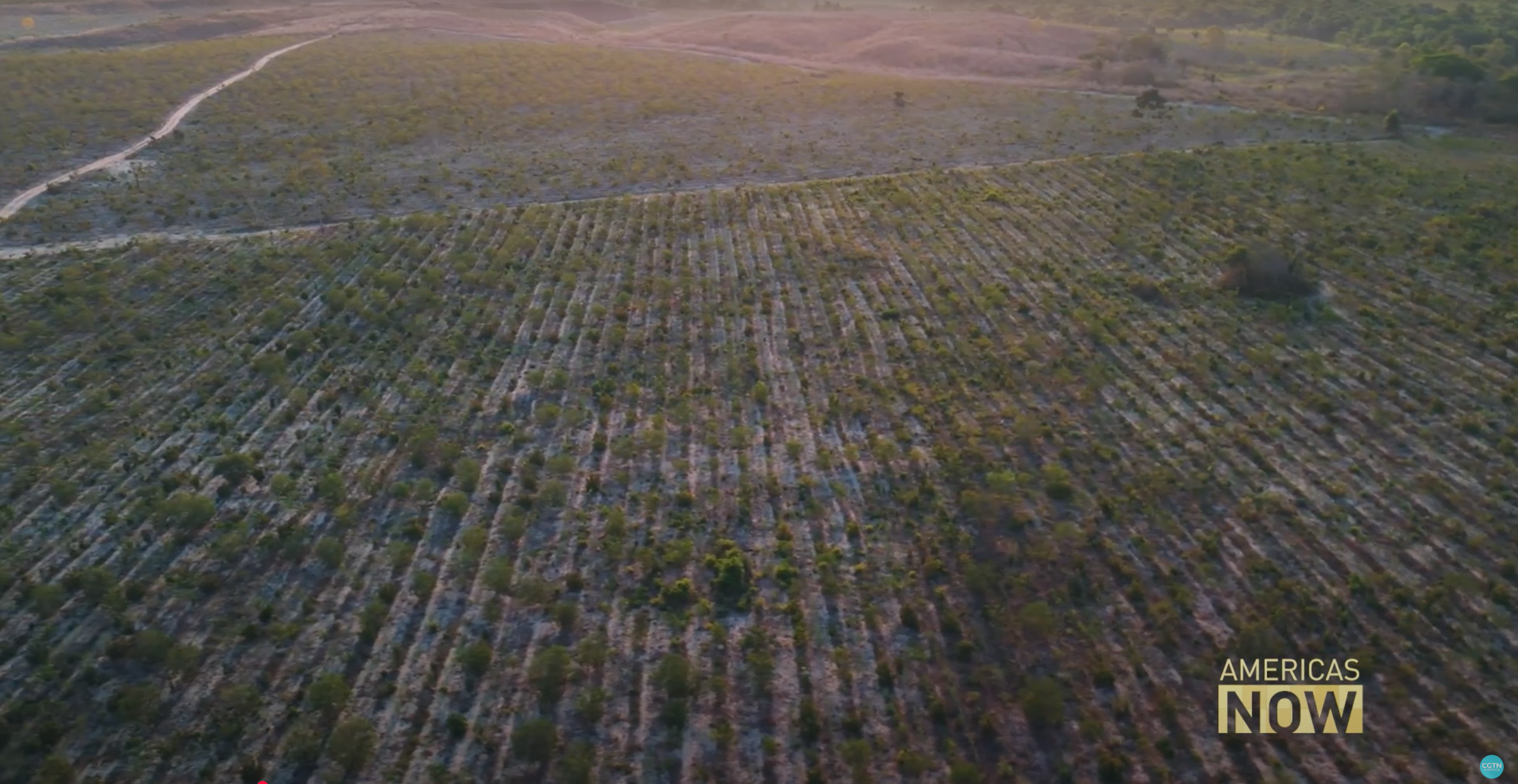 Brazil Sustainable Green Project