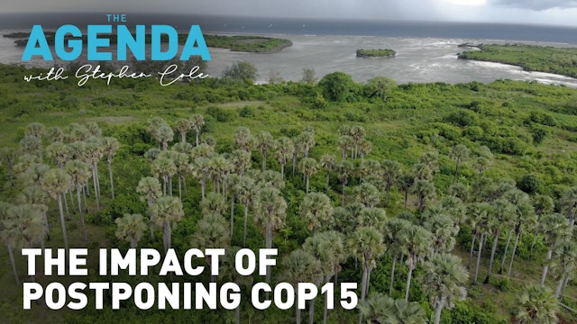 The impact of postponing COP15 - The Agenda