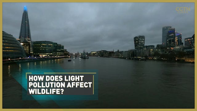 Assessing urban light pollution's wor...
