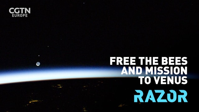 Free the bees and mission to Venus: #RAZOR full episode 