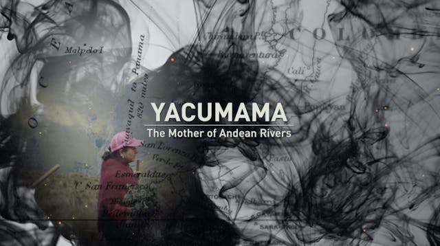Yacumama: the Mother of All Rivers