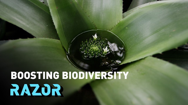 Boosting biodiversity #RAZOR
