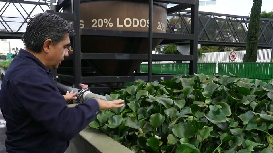 Mexico City Ecoducto key in cleaning city air
