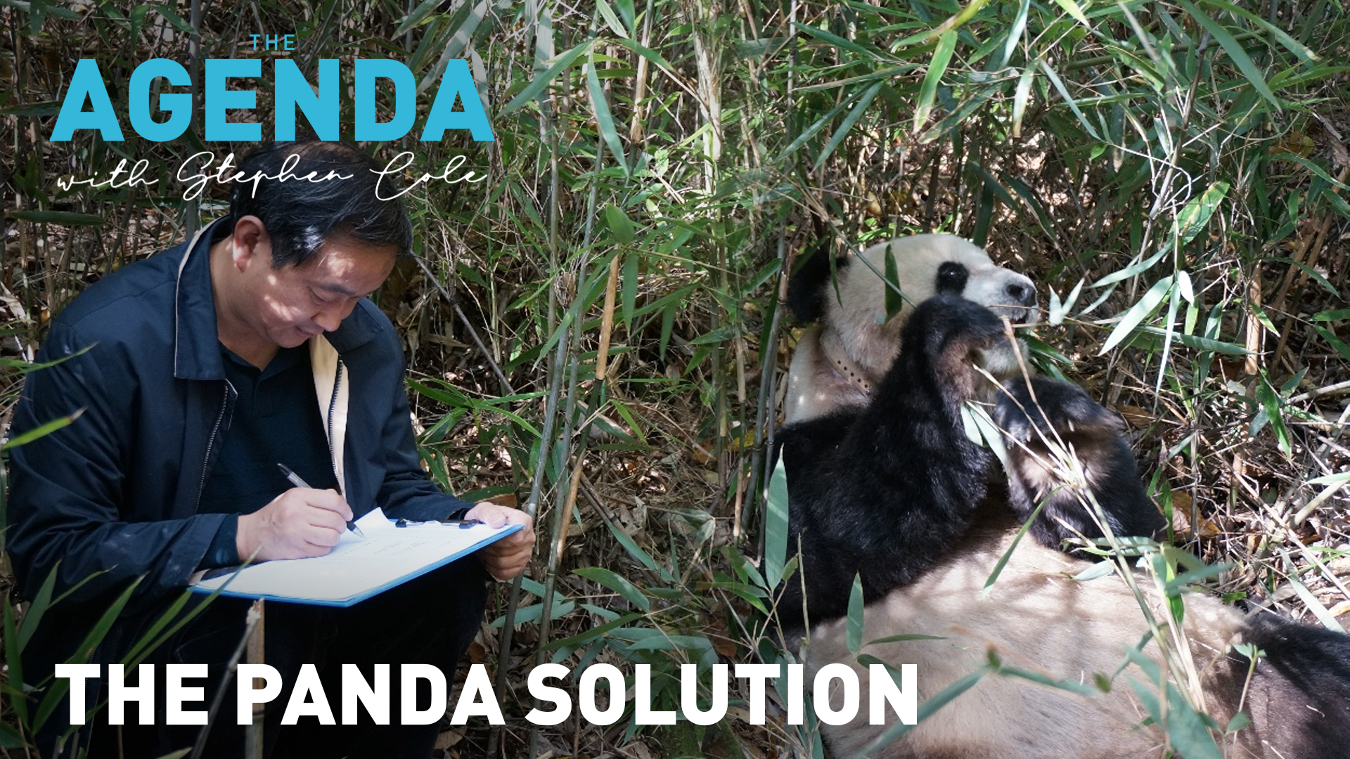 The panda solution: The Agenda 
