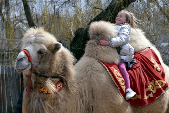 The impact of war on Ukraine's animals