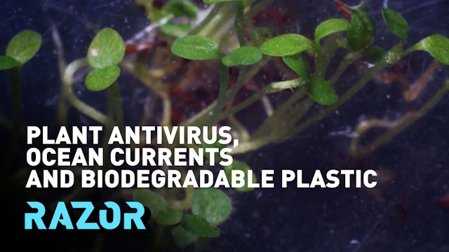 Plant antivirus, ocean currents and biodegradable plastic #RAZOR