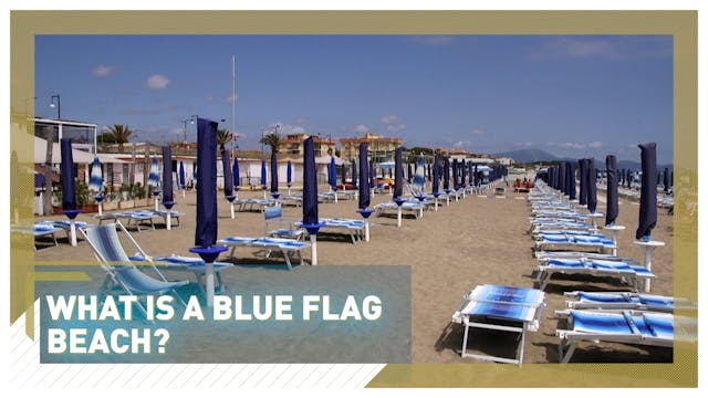 What is a blue flag beach?