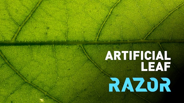 Artificial leaf: turning sunlight into fuel #RAZOR