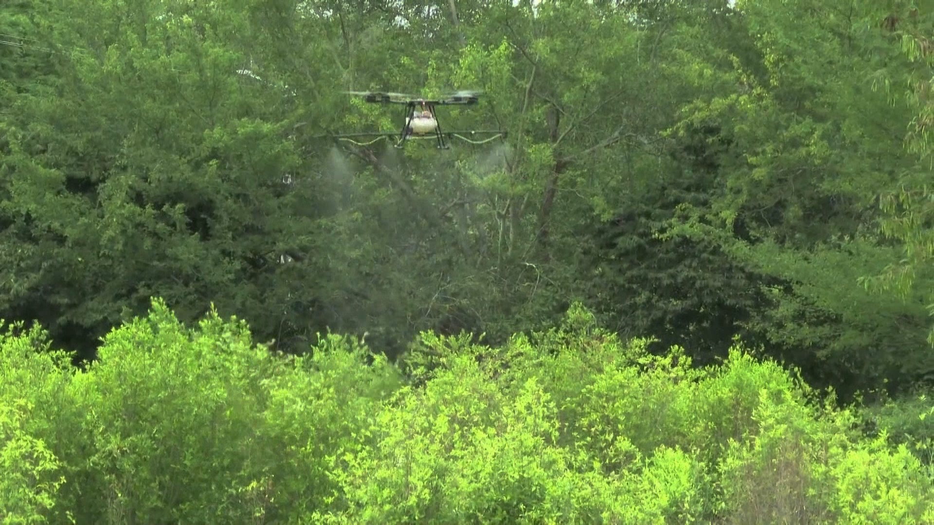 Controversy in Colombia in the war on drugs