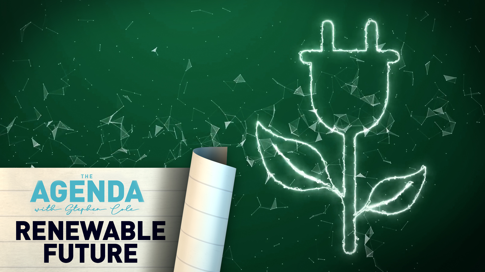 RENEWABLE FUTURE - The Agenda with Stephen Cole