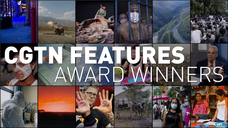 Features Award Winners