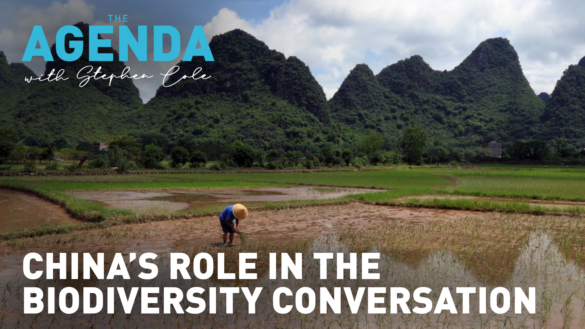 What is China's role in the biodiversity conversation? - The Agenda