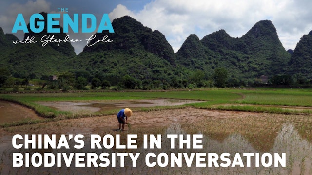 What is China's role in the biodiversity conversation? - The Agenda