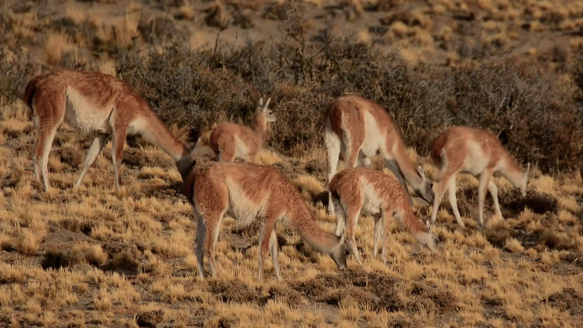 Profile: Environmentalist Kris Tompkins
