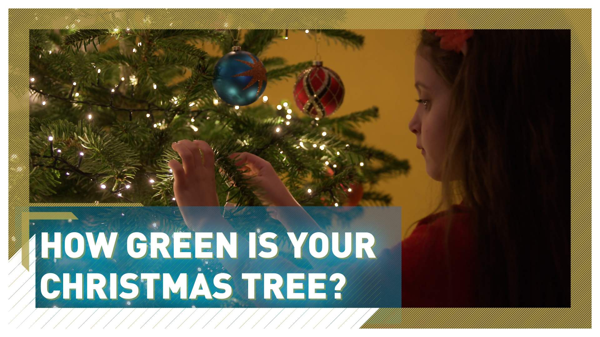 How green is your Christmas tree?