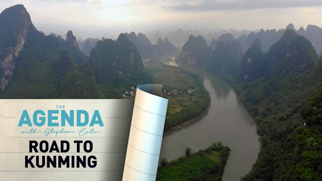 ROAD TO KUNMING - The Agenda with Stephen Cole