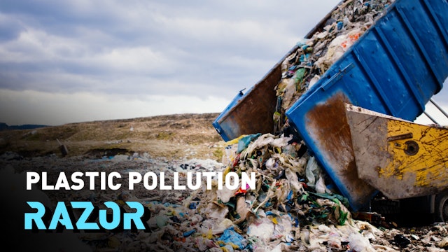 A landmark treaty to end plastic pollution 