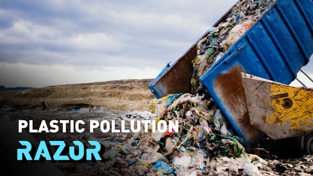A landmark treaty to end plastic poll...