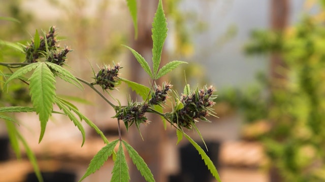 Brazilian Gang Pushing Paraguay on the Verge  of a Narco-State Status