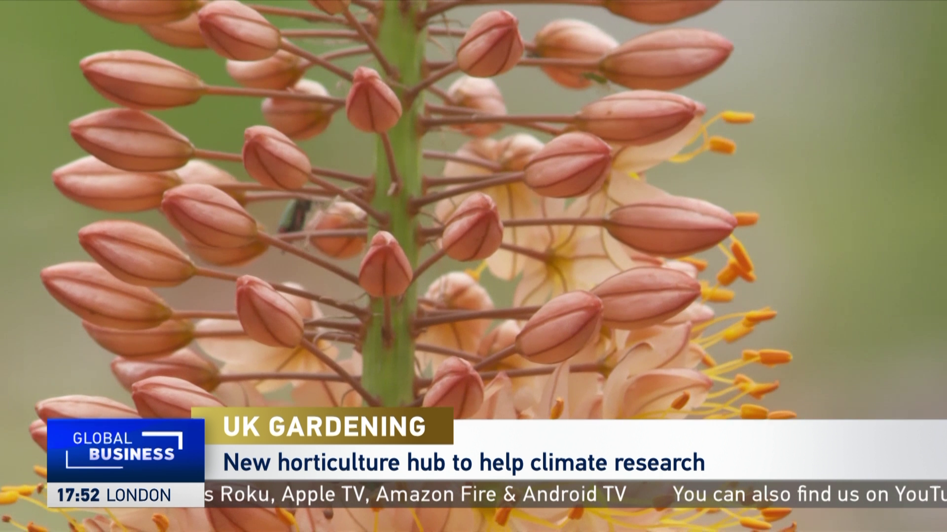 UK's first dedicated gardening science hub opens in full bloom