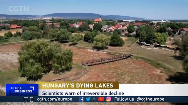 Dried up lakes now tinderboxes as drought and heatwaves impact Hungary