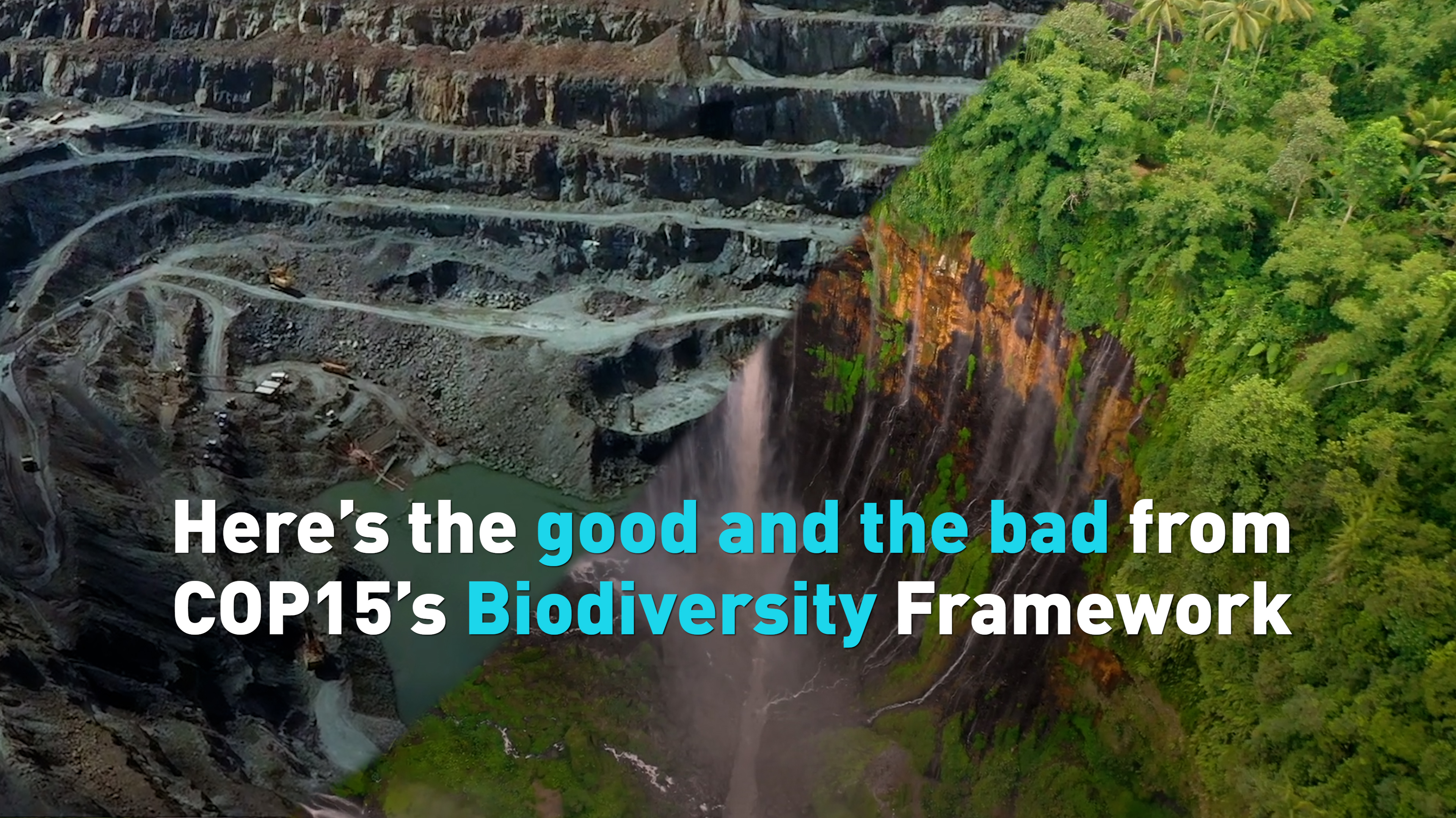 Explainer: Biodiversity agreement