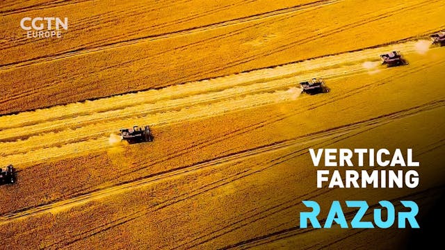 Vertical farming #RAZOR