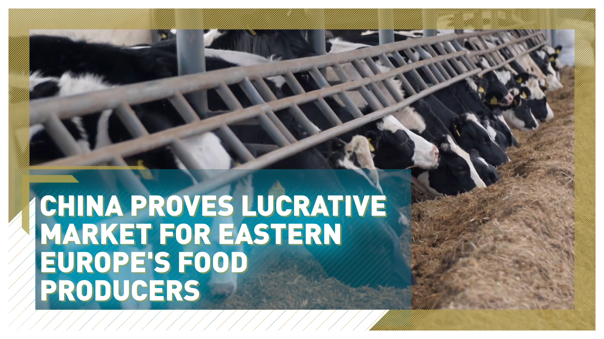 China proves lucrative market for Europe's food producers