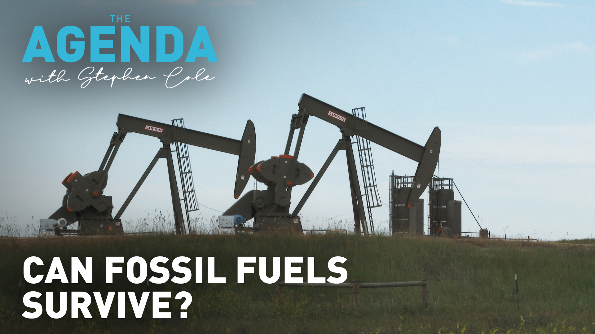 Can fossil fuels survive? #TheAgenda