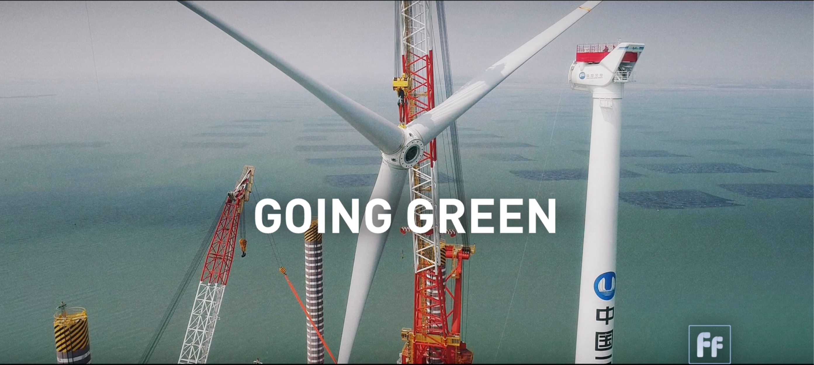 Full Frame: Going Green