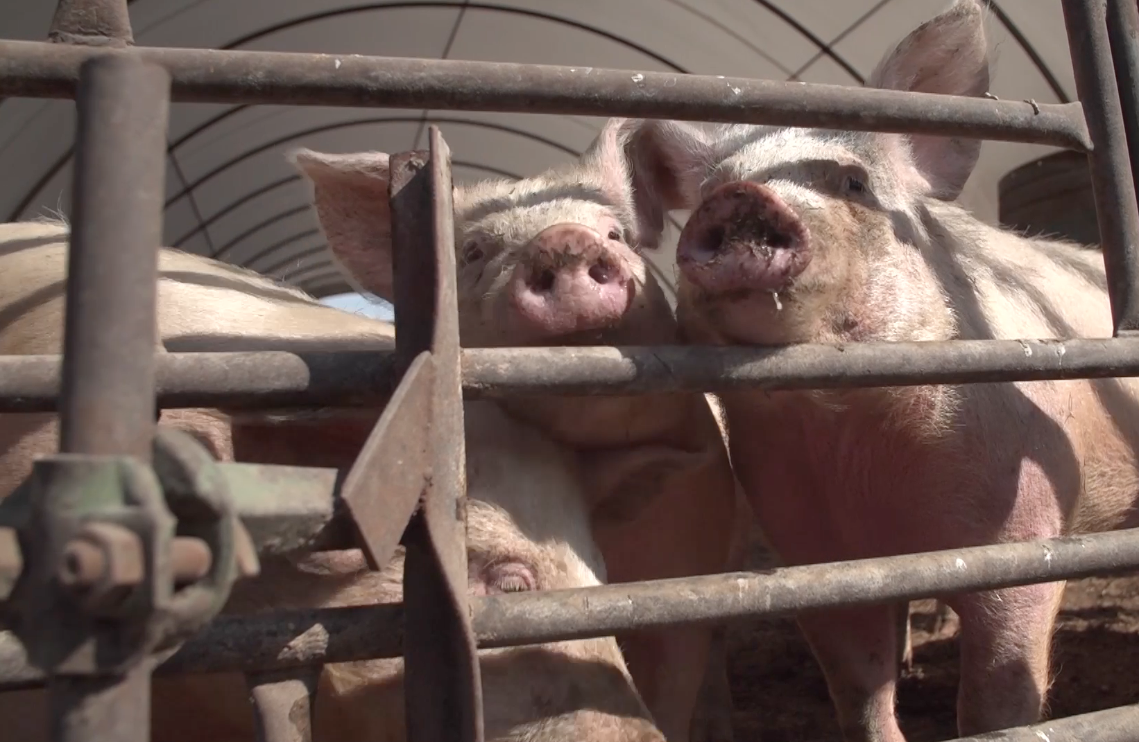 Are U.S. farmers positive about trade?