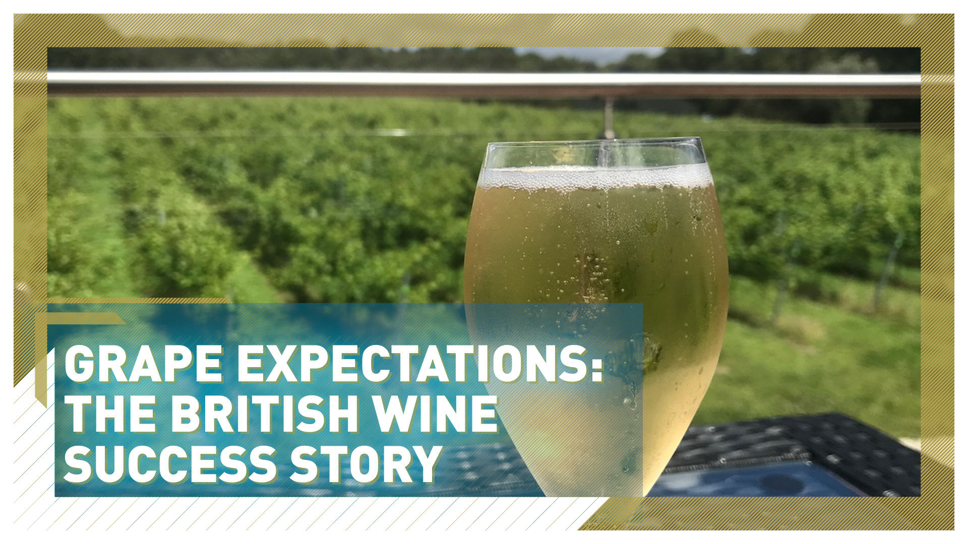 Grape expectations: The British wine success story
