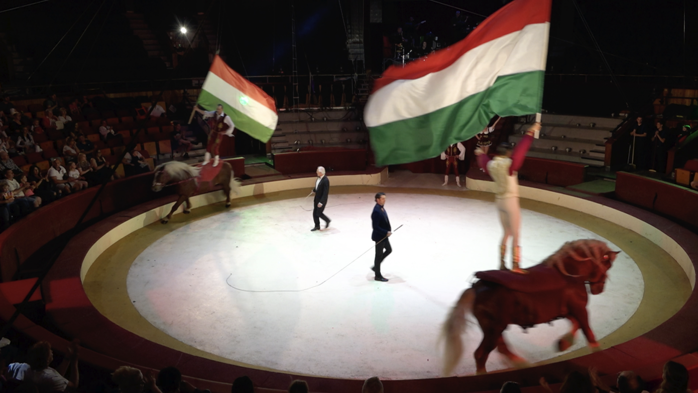 How Budapest’s circus artists survived the pandemic 