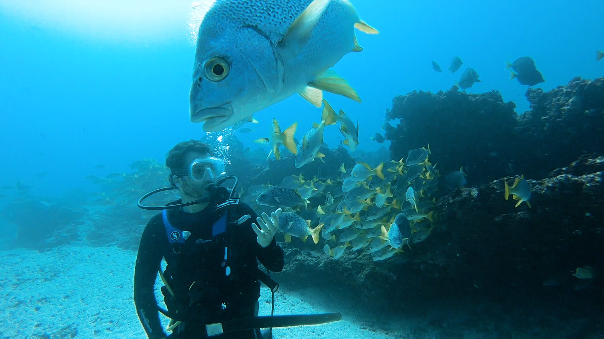 Vaccination in the Galapagos Islands will bring back Tourism