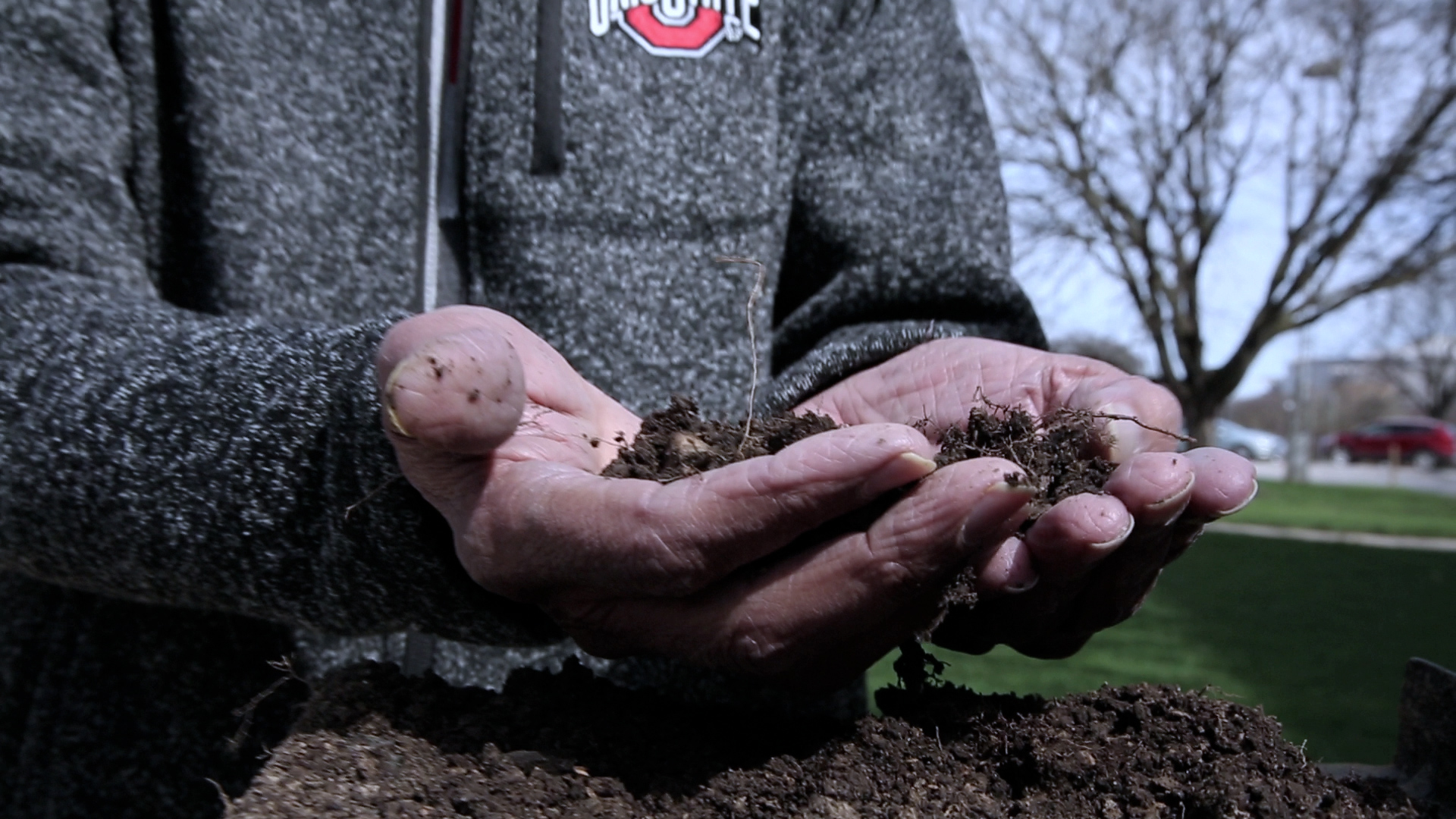 The relationship between soil and climate change