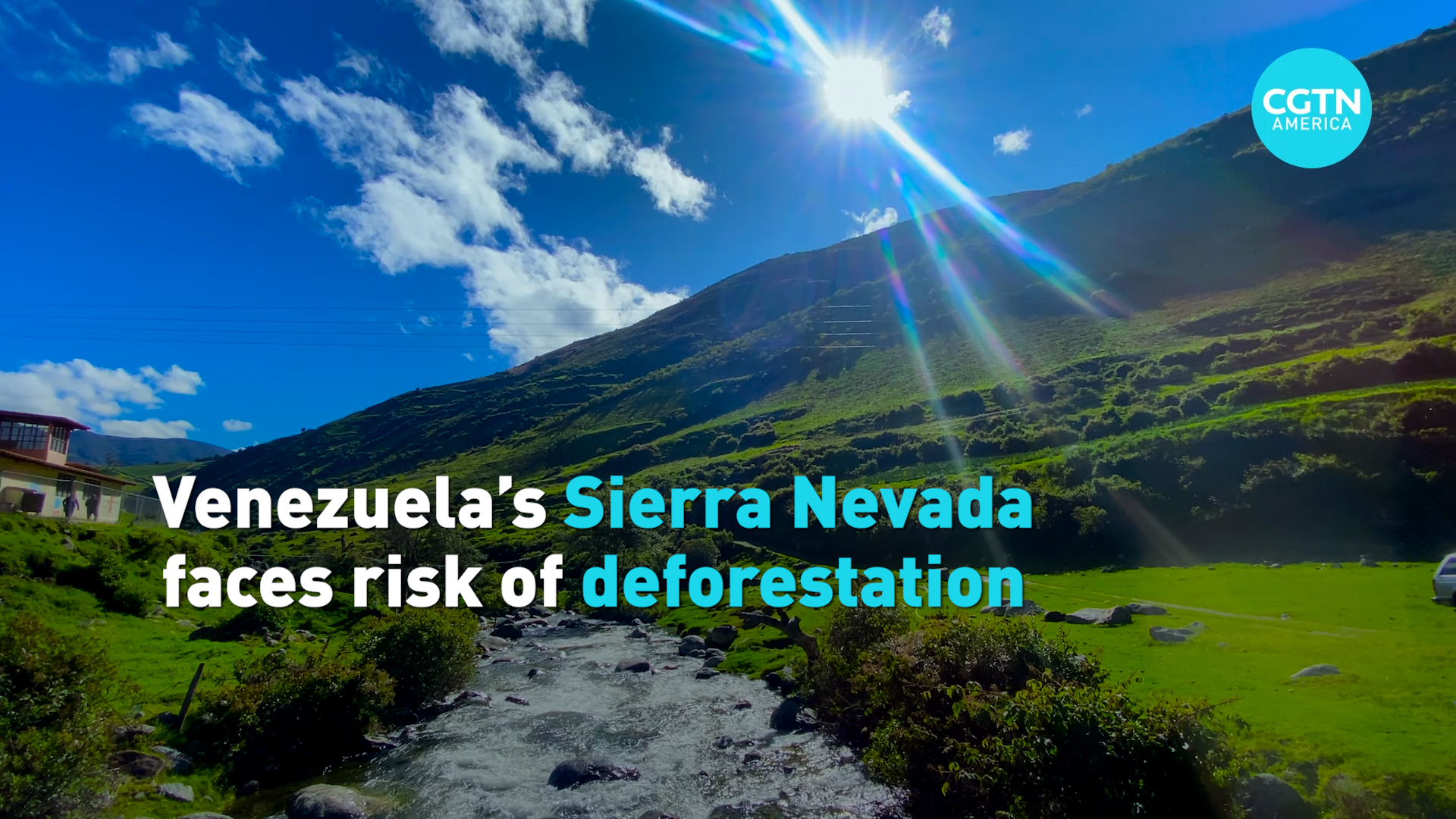 Venezuela’s Sierra Nevada faces risk of deforestation