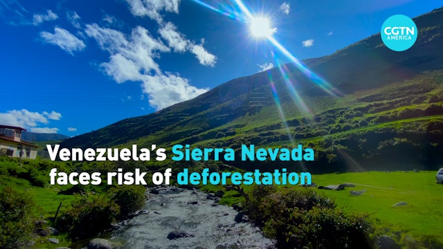 Venezuela’s Sierra Nevada faces risk of deforestation