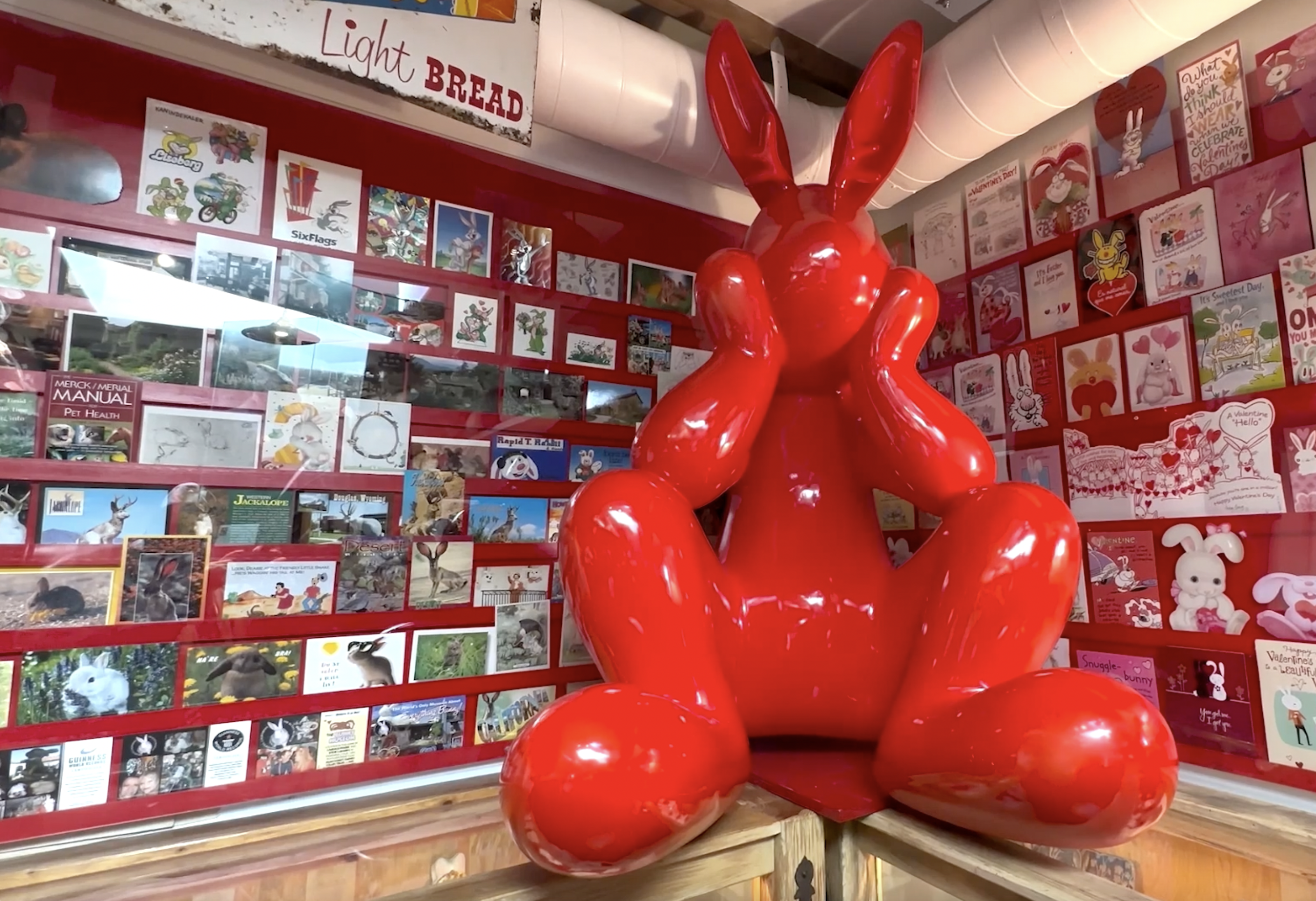 A trip to the Bunny Museum