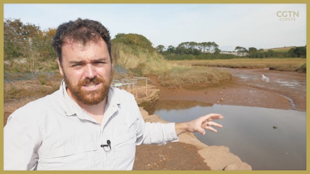 An explainer on biodiversity