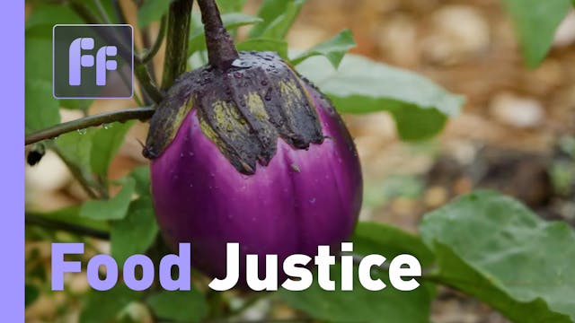 Full Frame: Food Justice