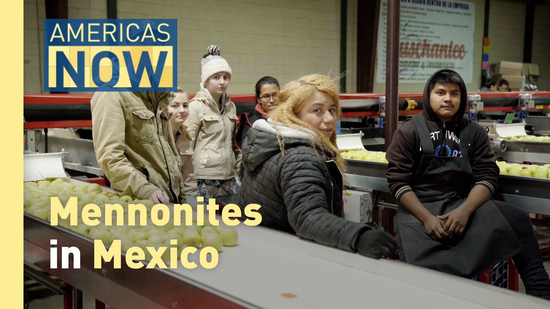 This Week on Americas Now: Mennonites in Mexico: Agricultural Pioneers