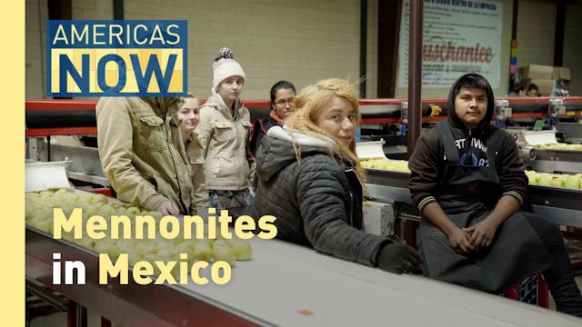 This Week on Americas Now: Mennonites...