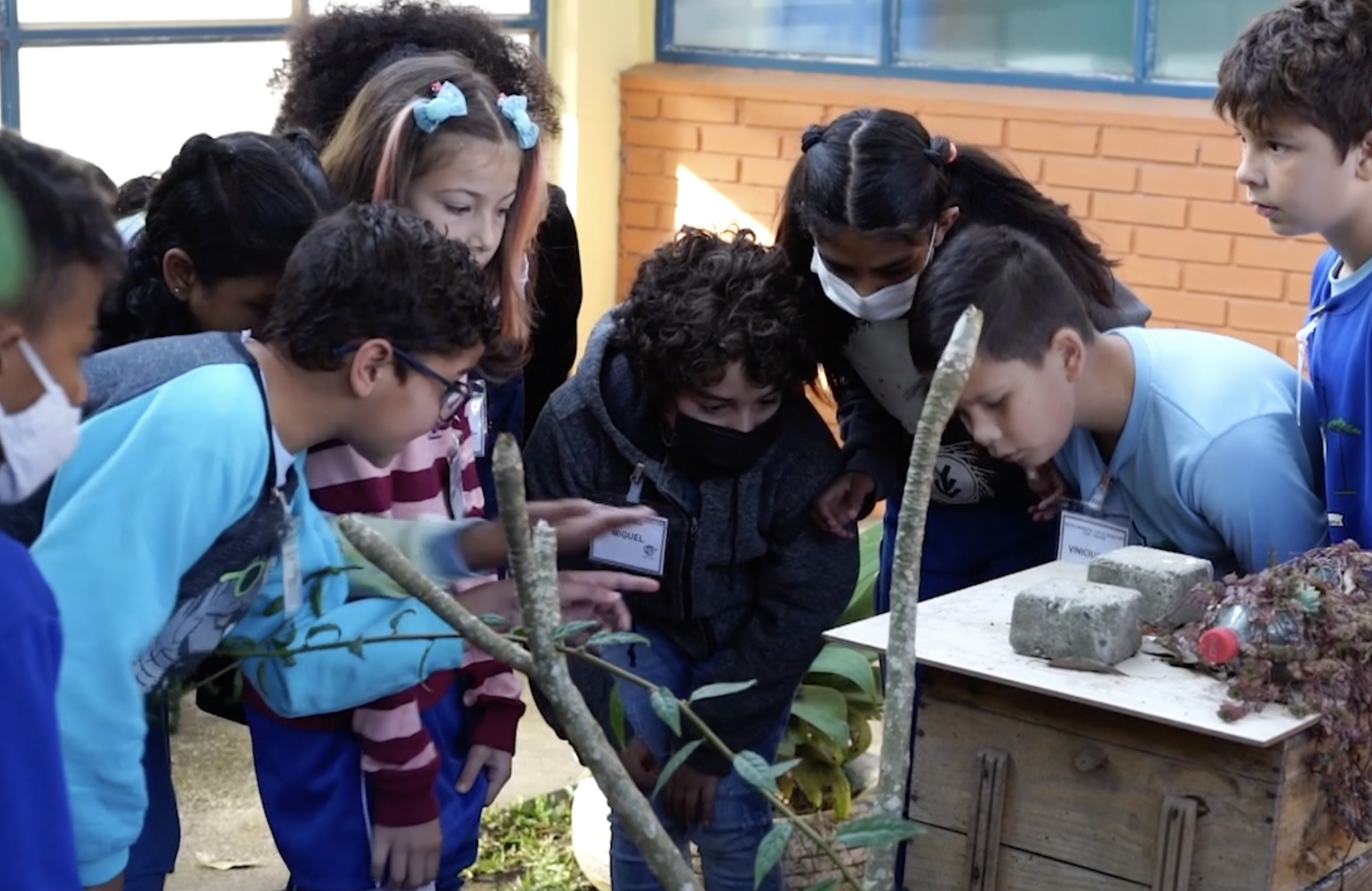 How bees add on to sustainability