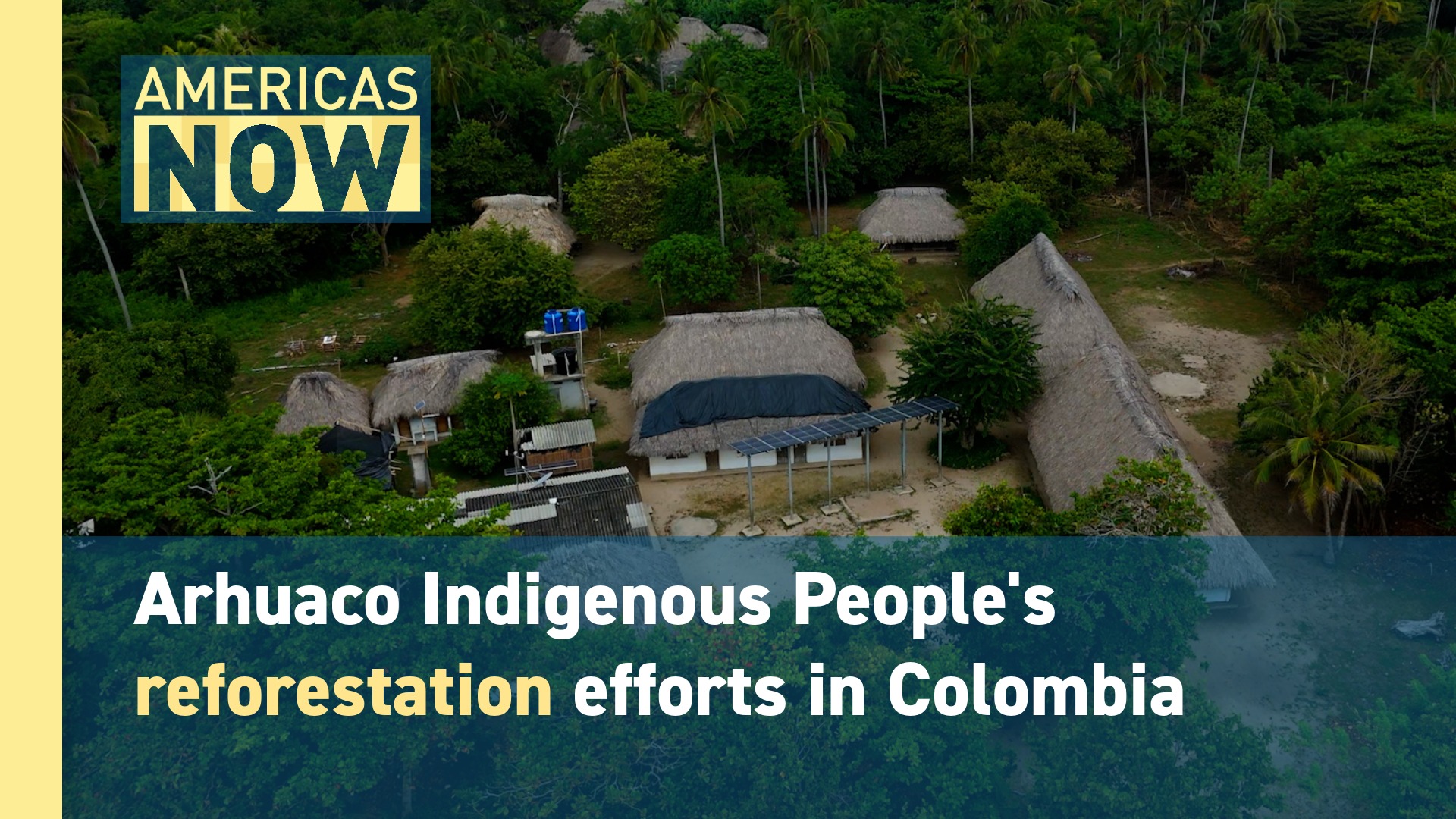 This Week on Americas Now: A Special Edition | COP30
