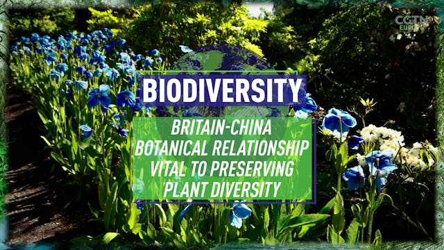 Britain-China botanical relationship ...