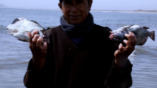 Peru’s Marine Ecosystem is Under Threat