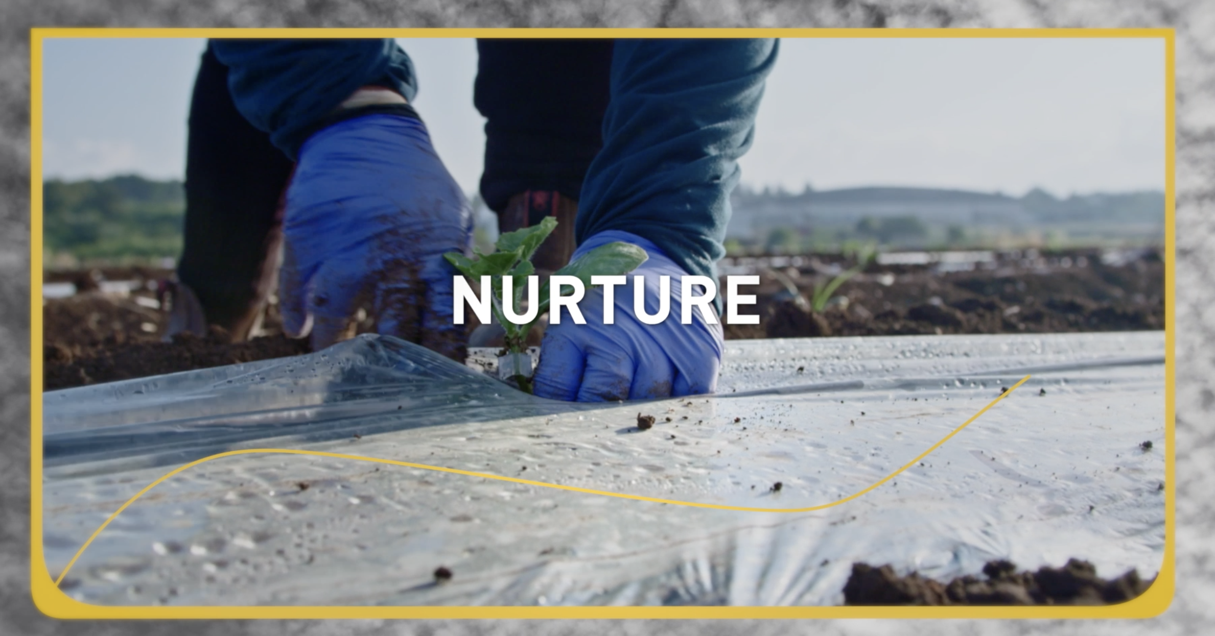 GAI 2024 – Nurture