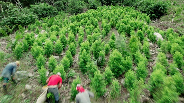 This Week on Americas Now: Colombia C...