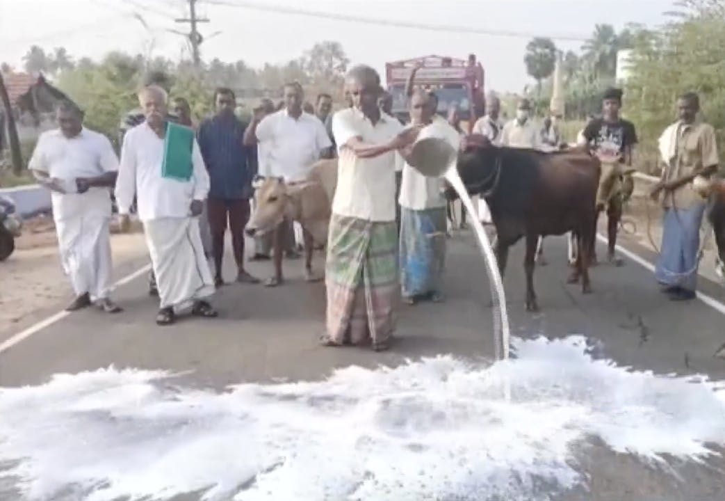Why are farmers in India throwing milk? Watch CGTN Now